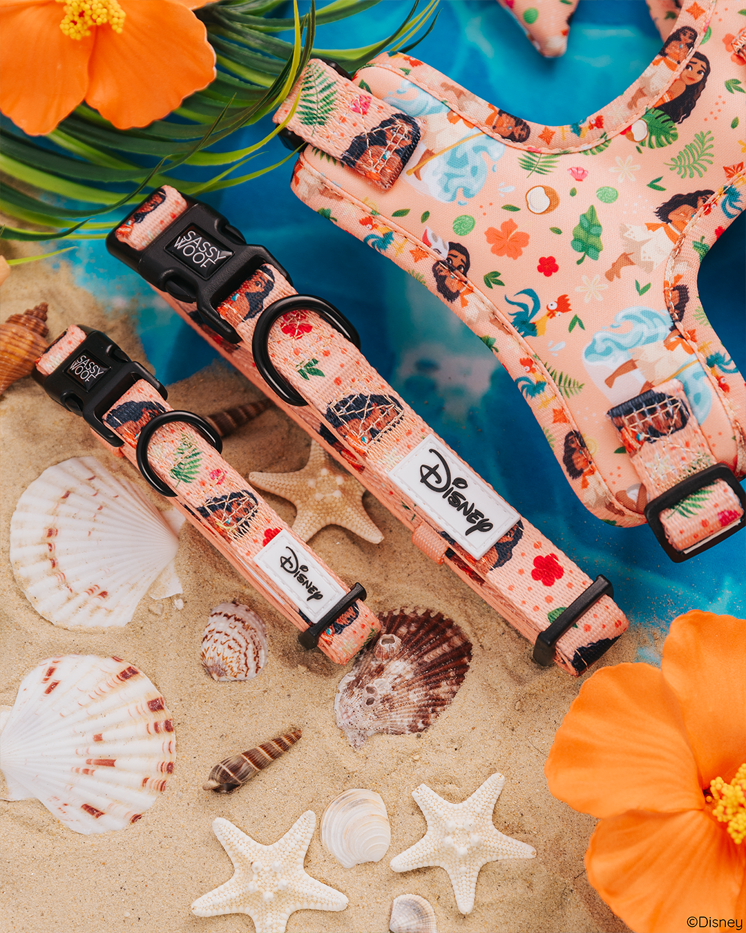 Sassy Woof's Dog Collar - Disney's Moana showcases tropical prints, displayed on sand with seashells, starfish, and orange flowers by blue water. The adjustable neoprene design ensures comfort in this ocean-inspired accessory.