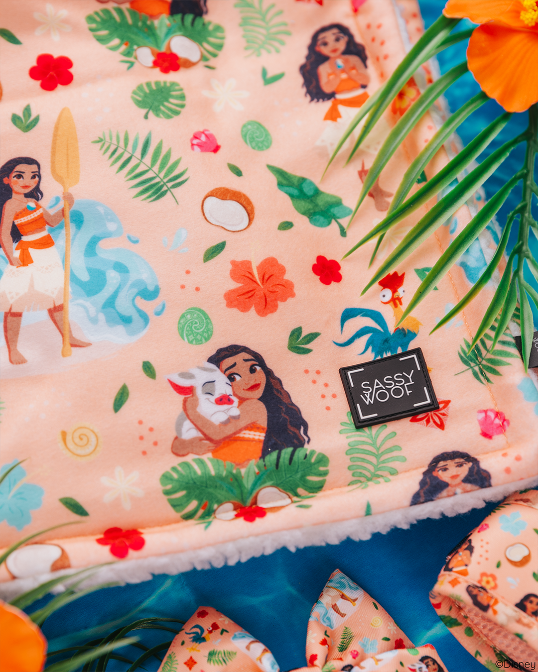The Sassy Woof Pet Blanket – Disney's Moana features a peach backdrop with Moana, Pua, leaves, flowers, and coconuts, framed by orange flowers and palm leaves—an ideal match for any Disney Moana dog harness.