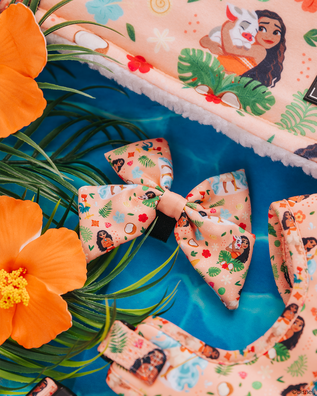 The Sassy Woof Dog Sailor Bow – Disney's Moana features Moana and Pua prints on a peach background with orange hibiscus flowers and palm leaves, shown with matching Disney Moana dog harness accessories on blue.