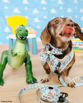 INFLUENCER_CONTENT | @WINSTONTHEDOX | SIZE XS