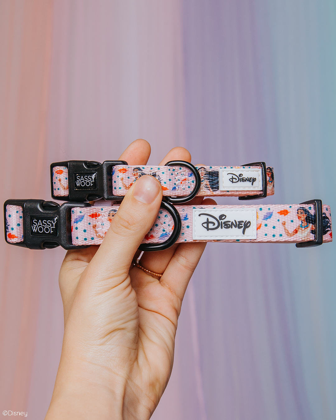 A hand holds two Sassy Woof "Dog Collar - Disney's Pocahontas" collars with black buckles and metal rings, showing a pink, blue, and orange Disney pattern, against a pastel gradient background.