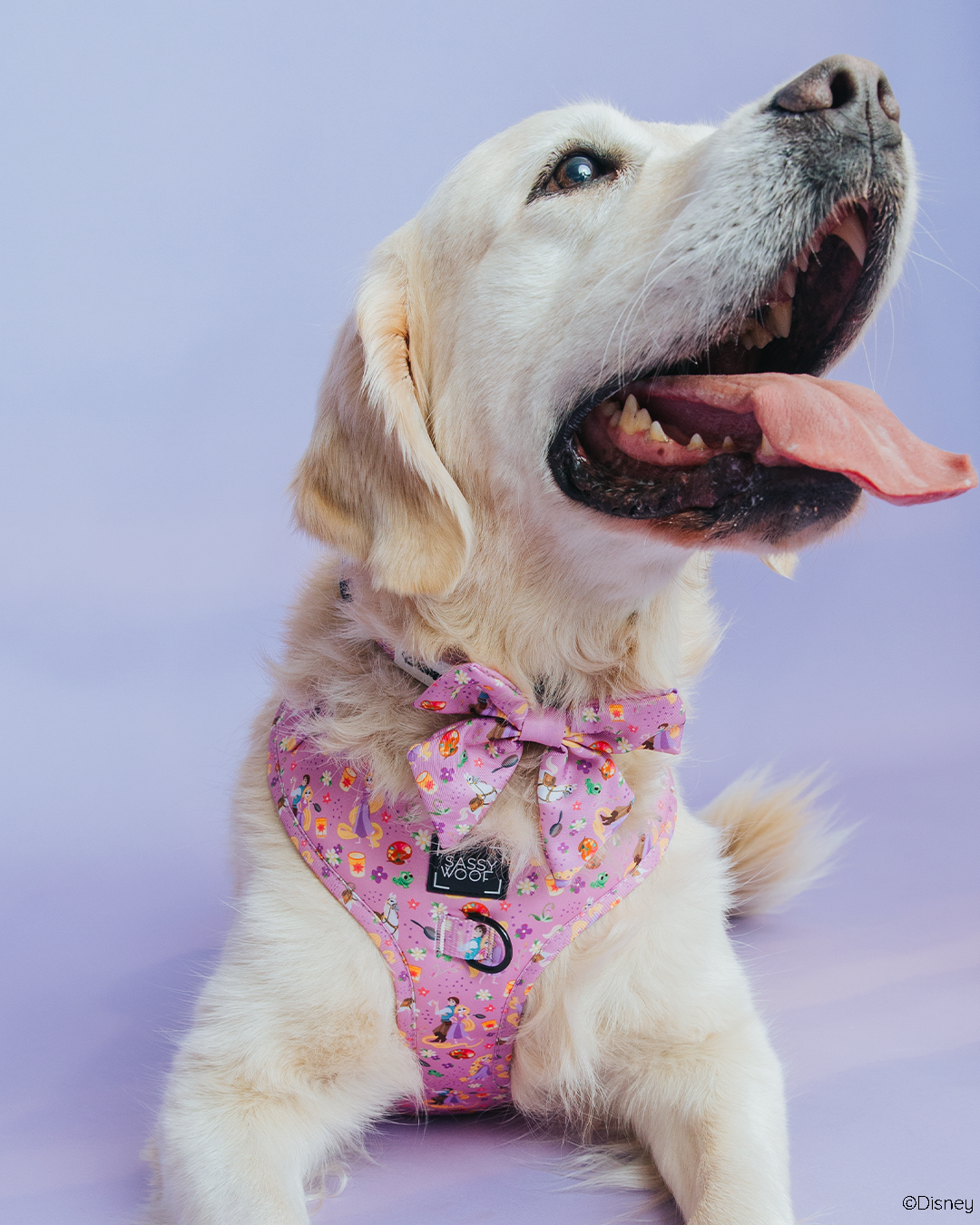 INFLUENCER_CONTENT | @LILY.THE.GOLDEN.GIRL | SIZE XL