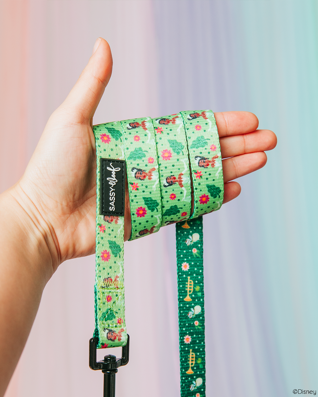 A hand holds the Sassy Woof Dog Leash – Disney's Tiana, featuring green tones and charming floral and character designs. A pastel gradient background adds a magical touch to this stylish dog accessory.