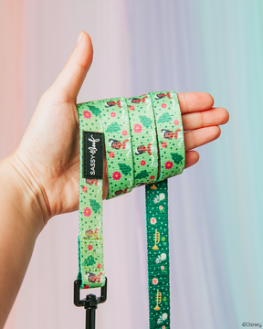 A hand holds the Sassy Woof Dog Leash – Disney's Tiana, featuring green tones and charming floral and character designs. A pastel gradient background adds a magical touch to this stylish dog accessory.