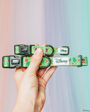A hand holds two green Sassy Woof Dog Collar - Disney's Tiana with pink and red flower patterns and black buckles, plus a matching adjustable harness, all set against a pastel gradient background.