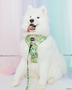 INFLUENCER_CONTENT | MIMI |