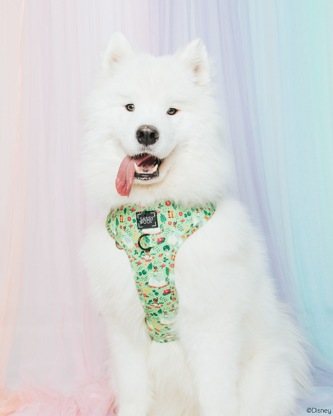 INFLUENCER_CONTENT | MIMI | SIZE L