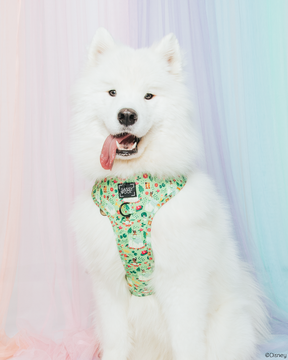 INFLUENCER_CONTENT | MIMI | SIZE L
