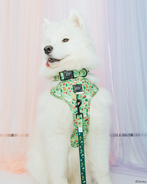 INFLUENCER_CONTENT | MIMI | SIZE L