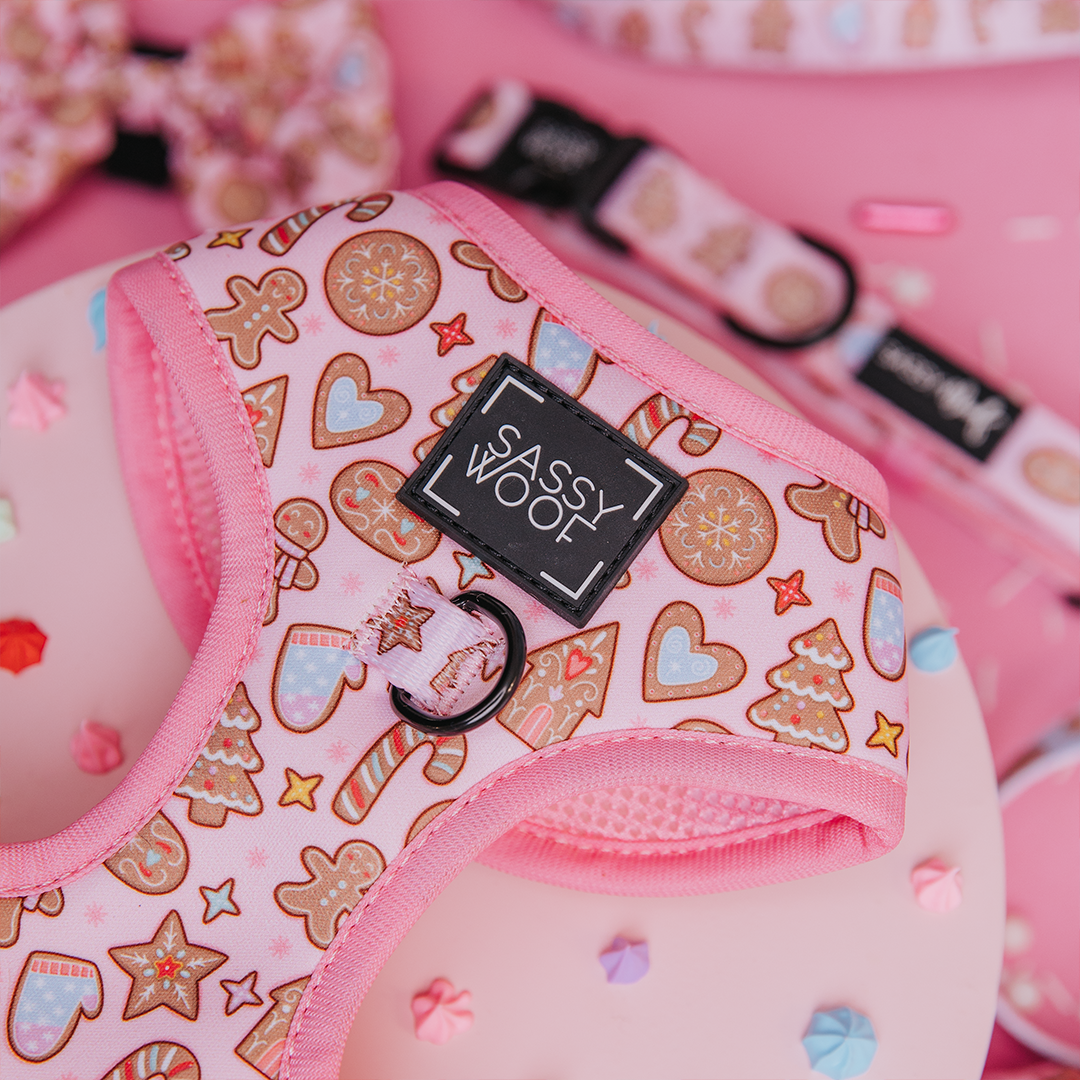 Dog Two Piece Bundle - Dough My Goodness