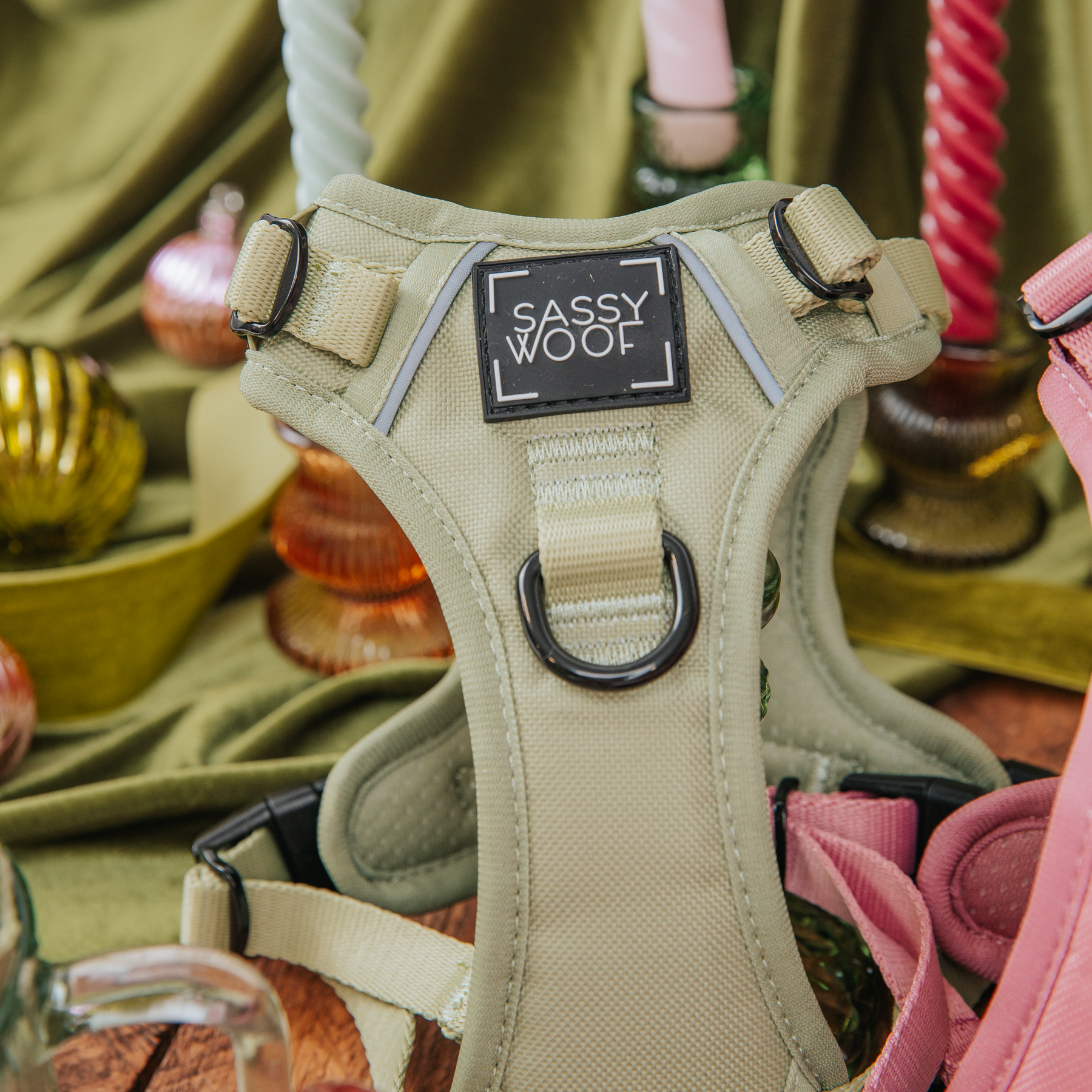 Dog Step-in Harness - Matcha