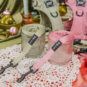 Dog Three Piece Bundle - Dusty Rose