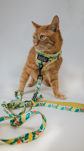 Cat Step-In Harness - Zest Friends