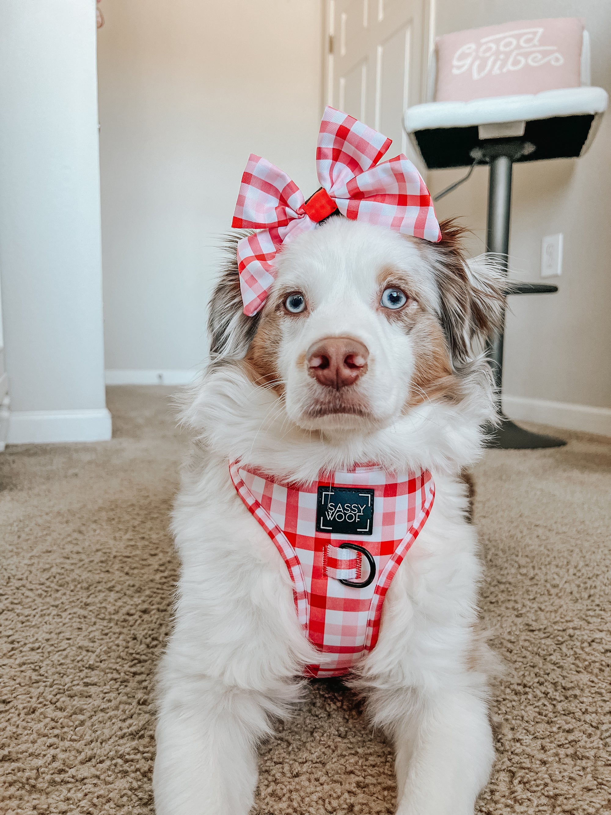 INFLUENCER_CONTENT | @ELLA.THEMINIAUSSIE | SIZE M