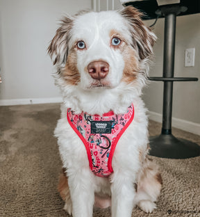 INFLUENCER_CONTENT | @ELLA.THEMINIAUSSIE | SIZE M