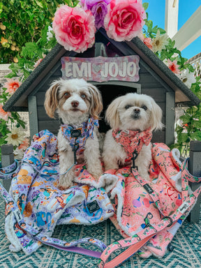 INFLUENCER_CONTENT | @EMI.AND.JOJO