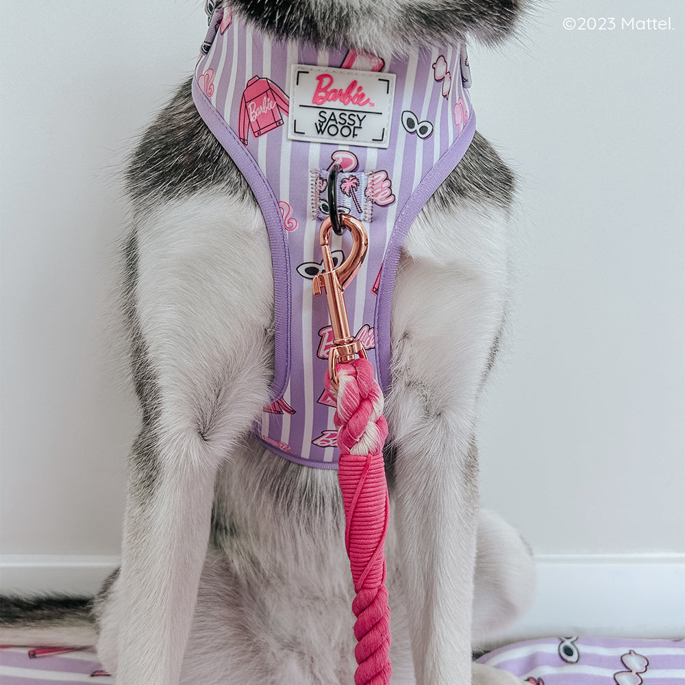 INFLUENCER_CONTENT | @EMMIETHEHUSKY