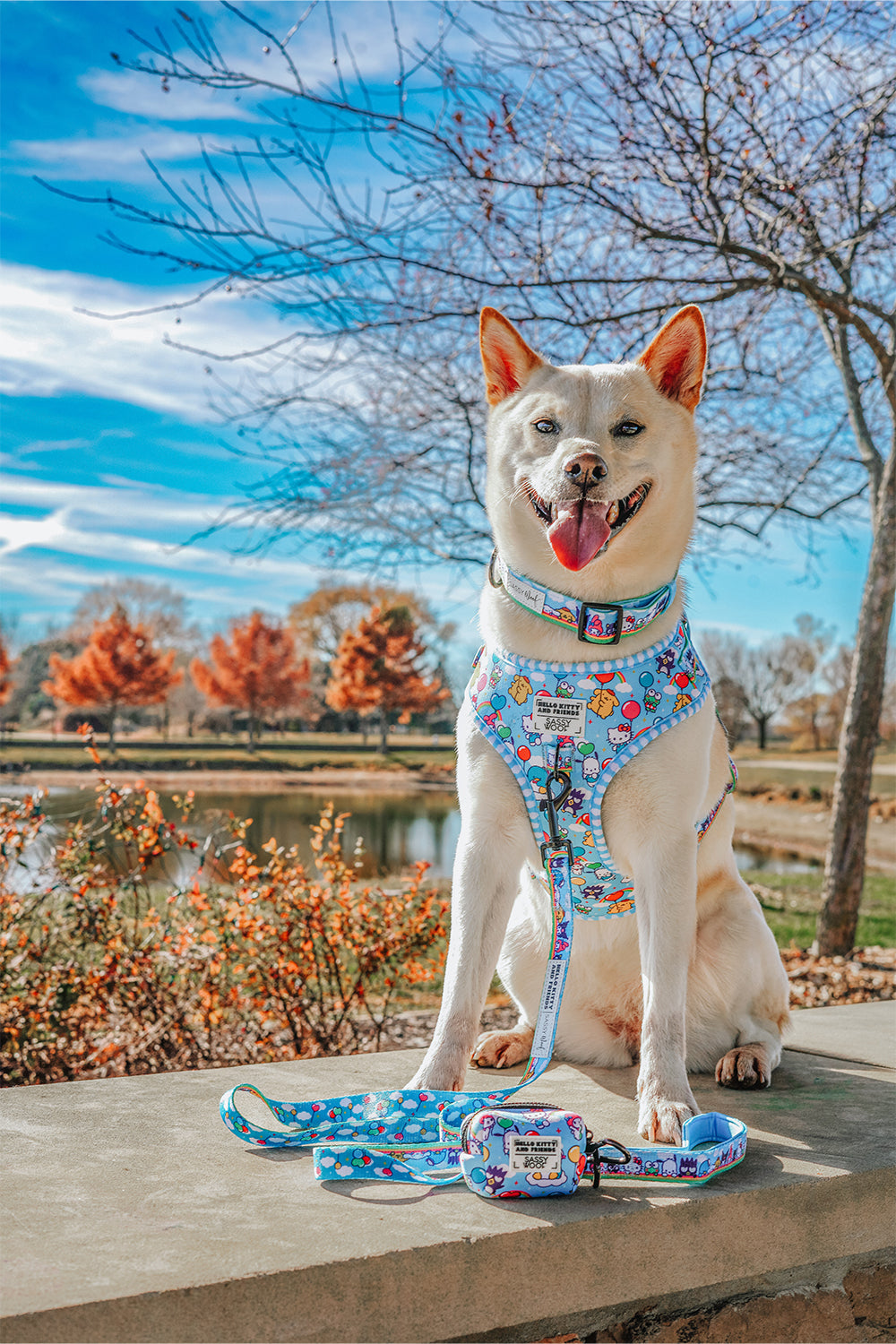A happy white dog sits on a stone ledge near a pond, panting and ready for adventure. Attached to its leash is the Sassy Woof Dog Waste Bag Holder - Hello Kitty® & Friends In the Sky. Autumn trees and a bright blue sky fill the background.