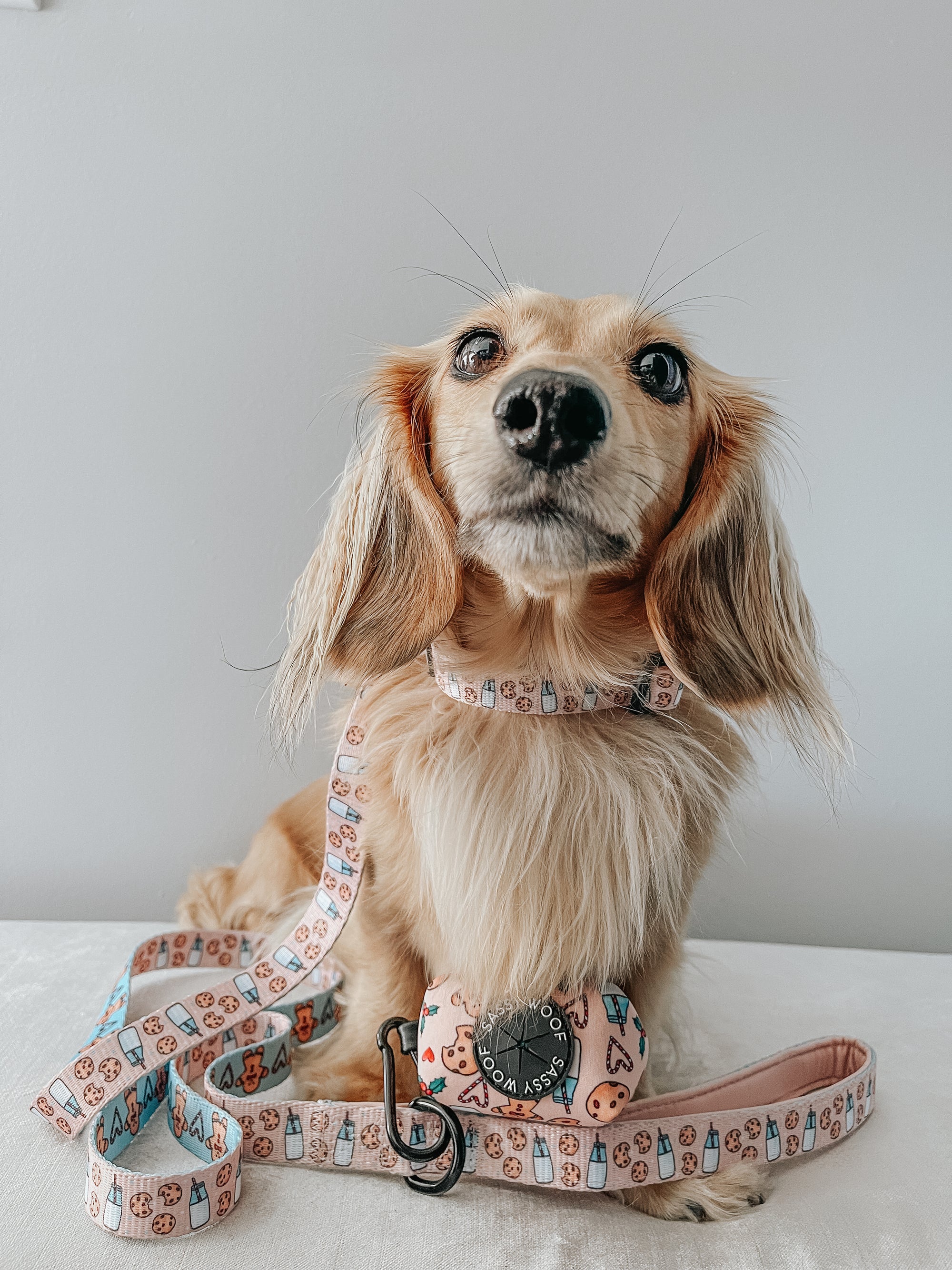 INFLUENCER_CONTENT | @FINNEGANTHEDOXIE | SIZE S
