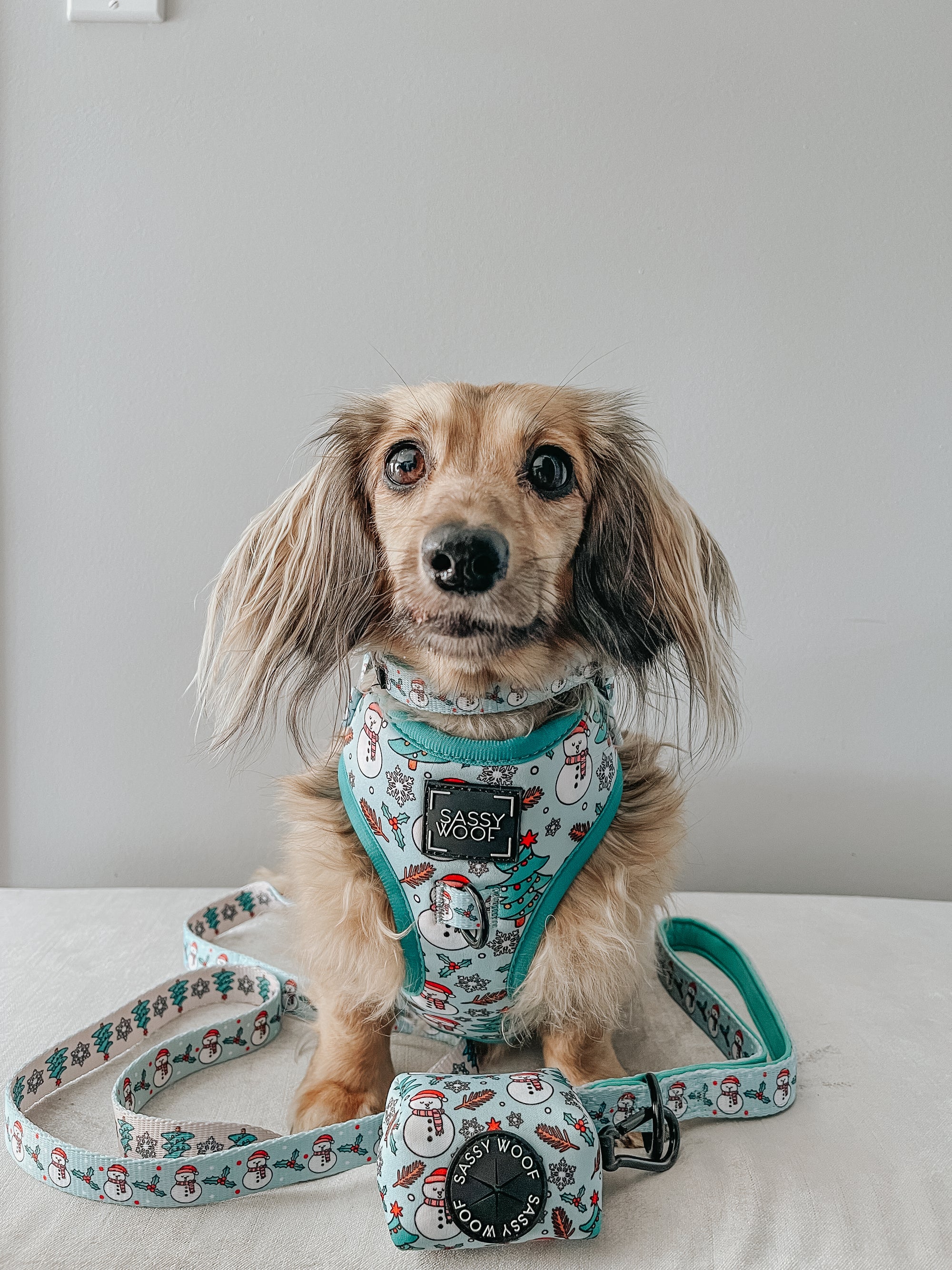 INFLUENCER_CONTENT | @FINNEGANTHEDOXIE | SIZE XS