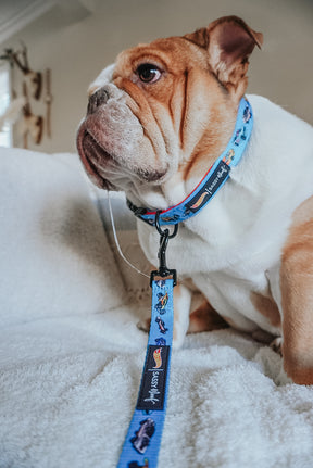 INFLUENCER_CONTENT | @FRANKIE.THE.BULLDAWG | SIZE L 