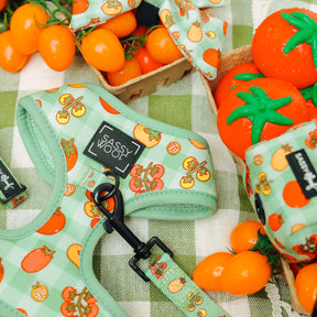 Sassy Woof’s “Feeling Vine” adjustable dog harness, leash, and waste bag holder with a tomato print are displayed on green checkered cloth alongside artificial tomatoes and matching fabric.