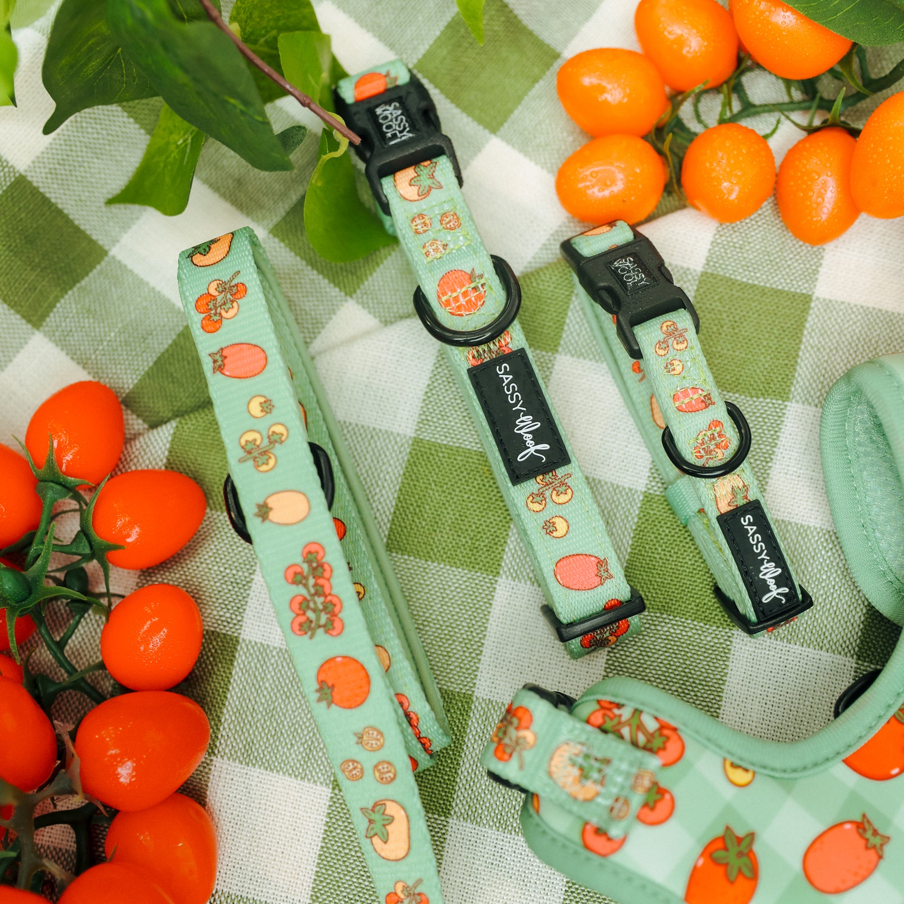 The Sassy Woof Dog Three Piece Bundle - Feeling Vine, featuring orange and tomato prints, is displayed on a green and white checkered cloth with fresh tomatoes, kumquats, and leafy accents for a vibrant look.