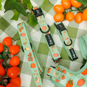 The Sassy Woof Dog Leash - Feeling Vine, featuring colorful fruit and veggie prints, is displayed on a green and white checkered cloth with orange grape tomatoes and leafy greens.