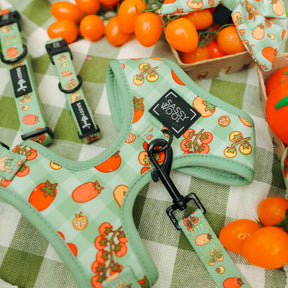 The Sassy Woof Dog Two Piece Bundle - Feeling Vine features a green and white check harness with cartoon tomato designs, matching cloth, and adjustable leash—ideal for pups on the Puppy Growth Pawtection Plan.