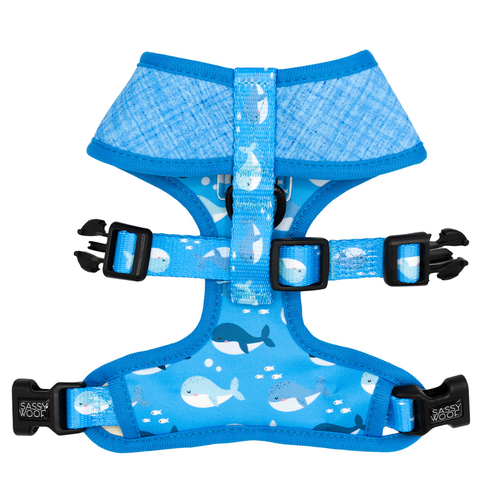 Dog Reversible Harness - Might as Whale