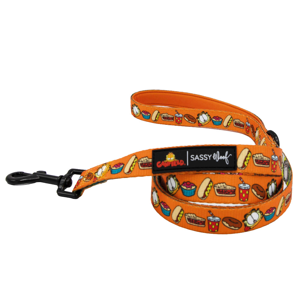 Dog Leash - Garfield™