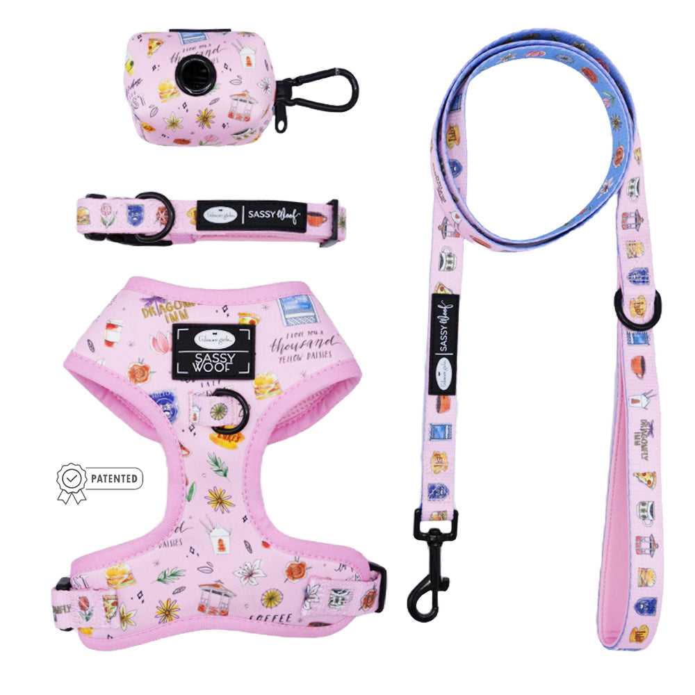 Dog Four Piece Bundle - Gilmore Girls™