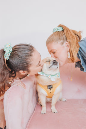 INFLUENCER_CONTENT | ALEX, MILO, & HANNAH