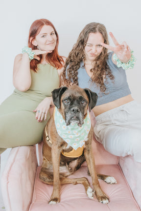 INFLUENCER_CONTENT | TARA, THOR, & MABEL