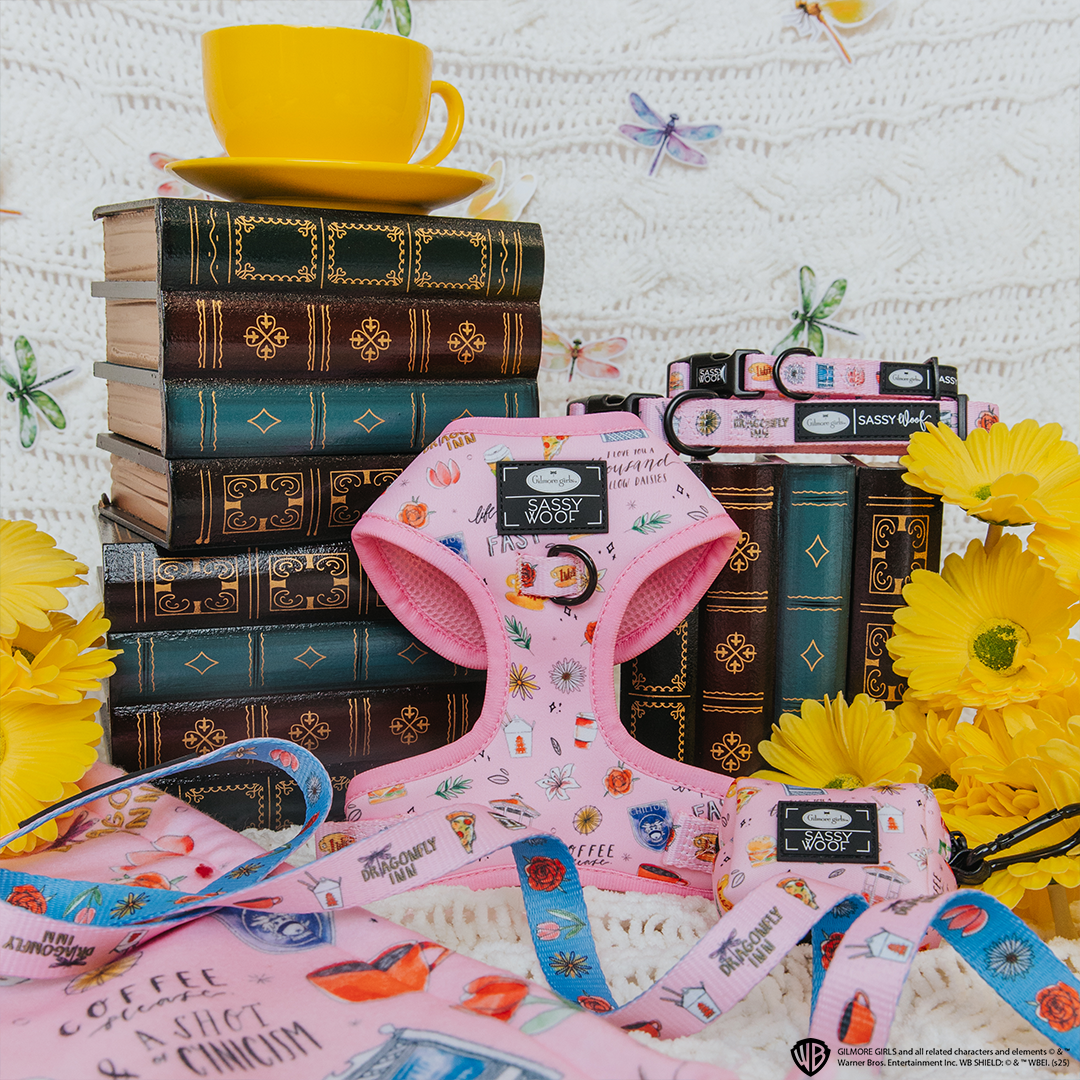 Dog Four Piece Bundle - Gilmore Girls™