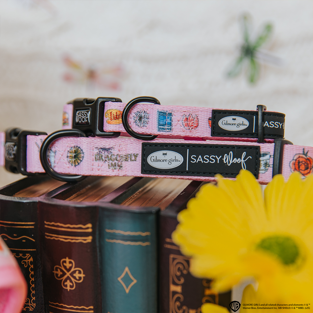 Dog Collar - Gilmore Girls™