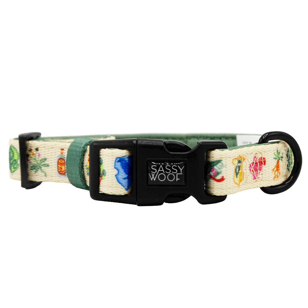 Dog Collar - Harry Potter™ Herbology