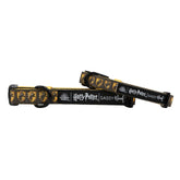 Dog Collar - Harry Potter™ Hufflepuff