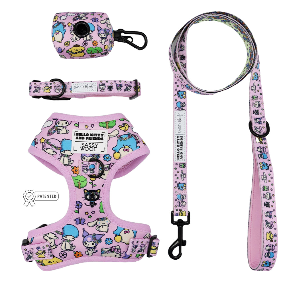 Dog Four Piece Bundle - Hello Kitty® & Friends Flower Festival
