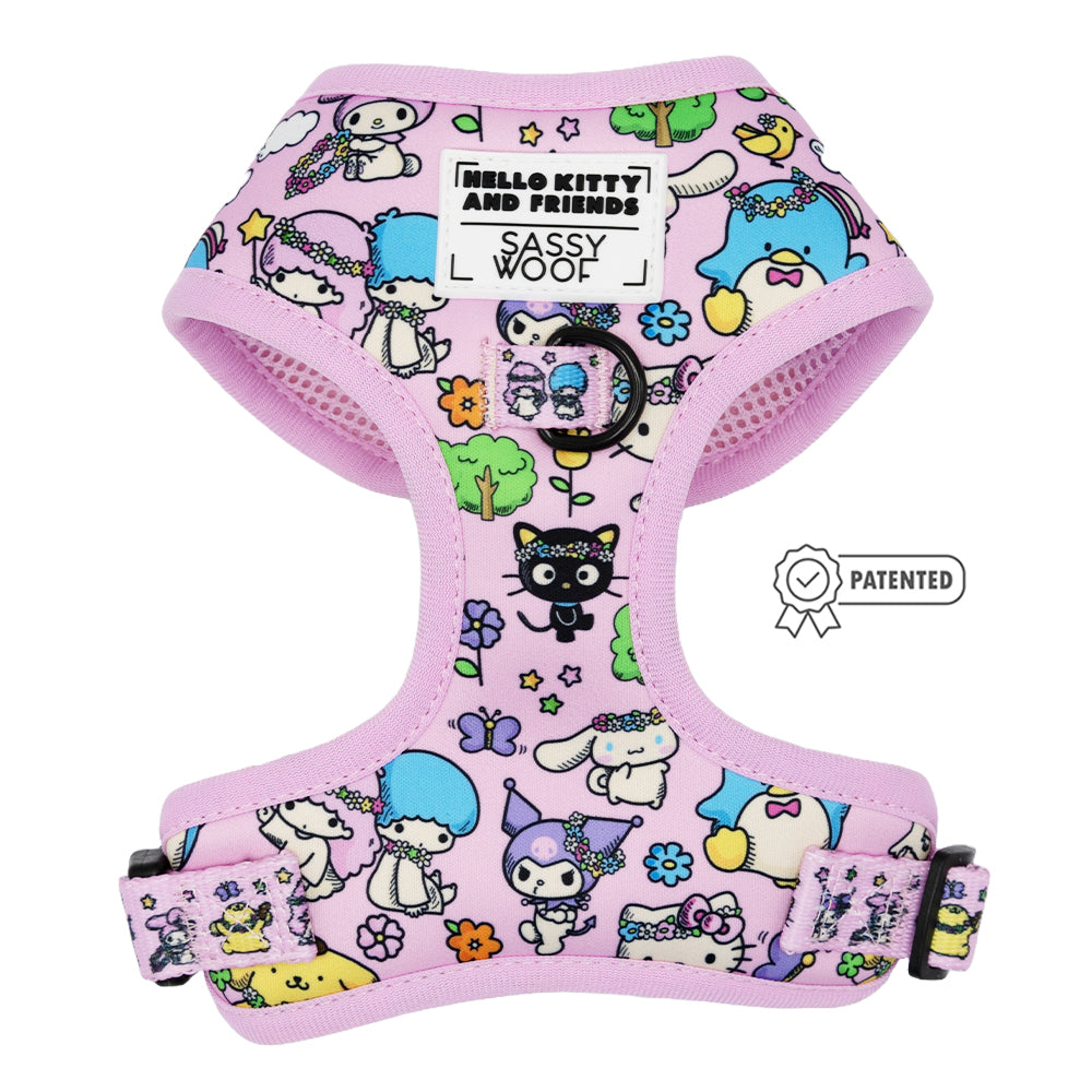 Dog Four Piece Bundle - Hello Kitty® & Friends Flower Festival
