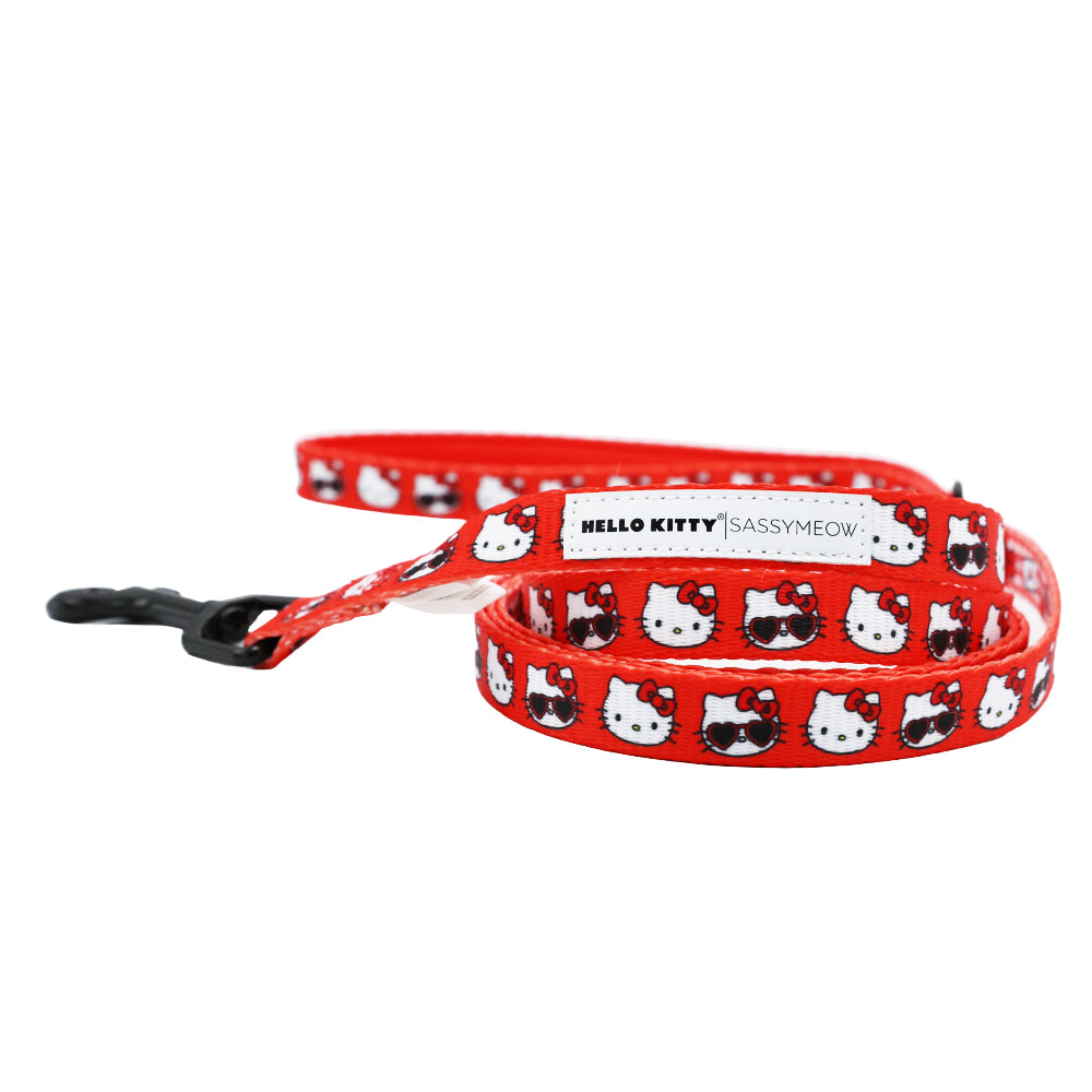 HELLO-KITTY-VALENTINE-SASSY-