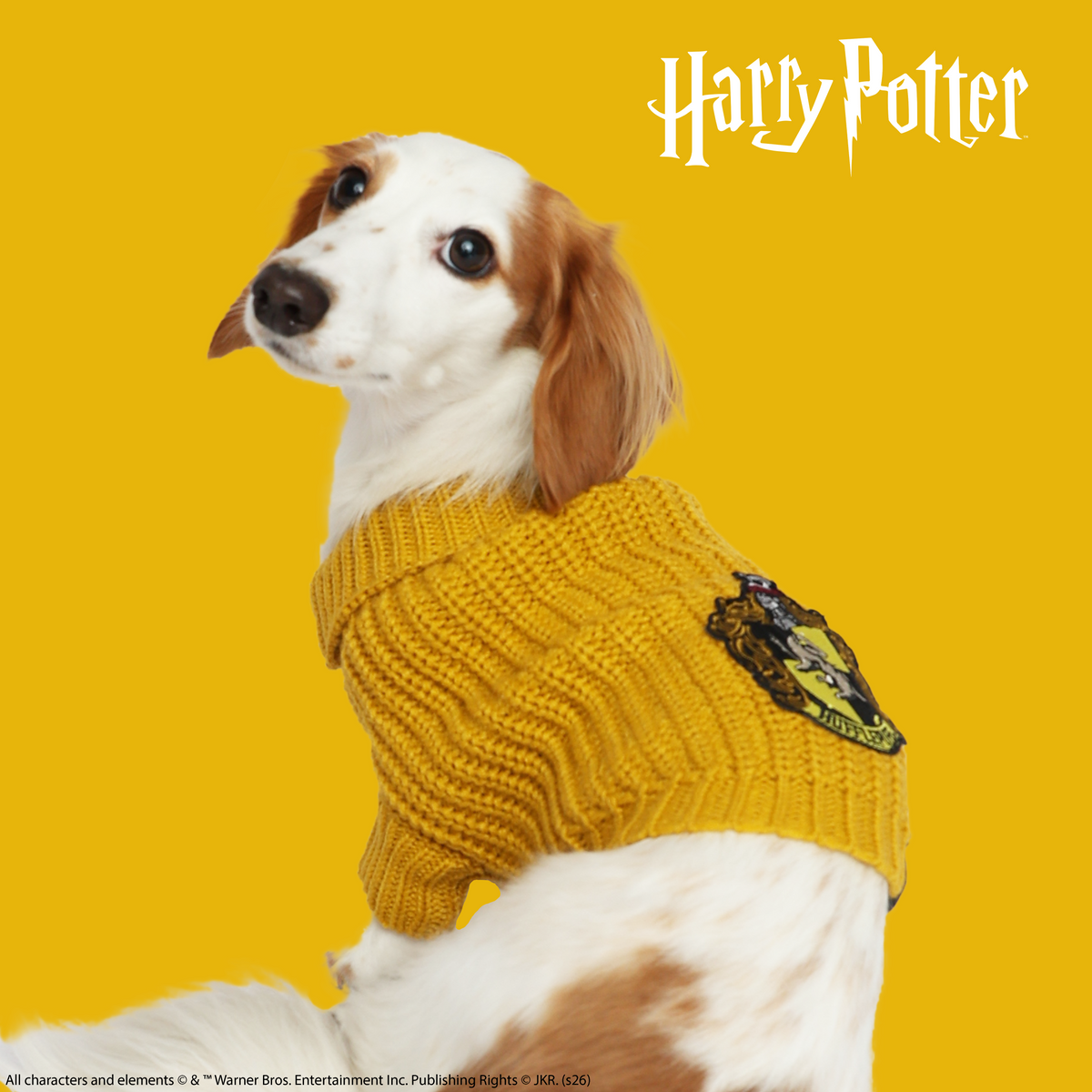 A white dog with brown spots wears the Pet Cable Knit Sweater - Harry Potter™ Hufflepuff by Sassy Woof, featuring a Hogwarts crest patch, while sitting against a solid yellow background with the Harry Potter logo in the corner.