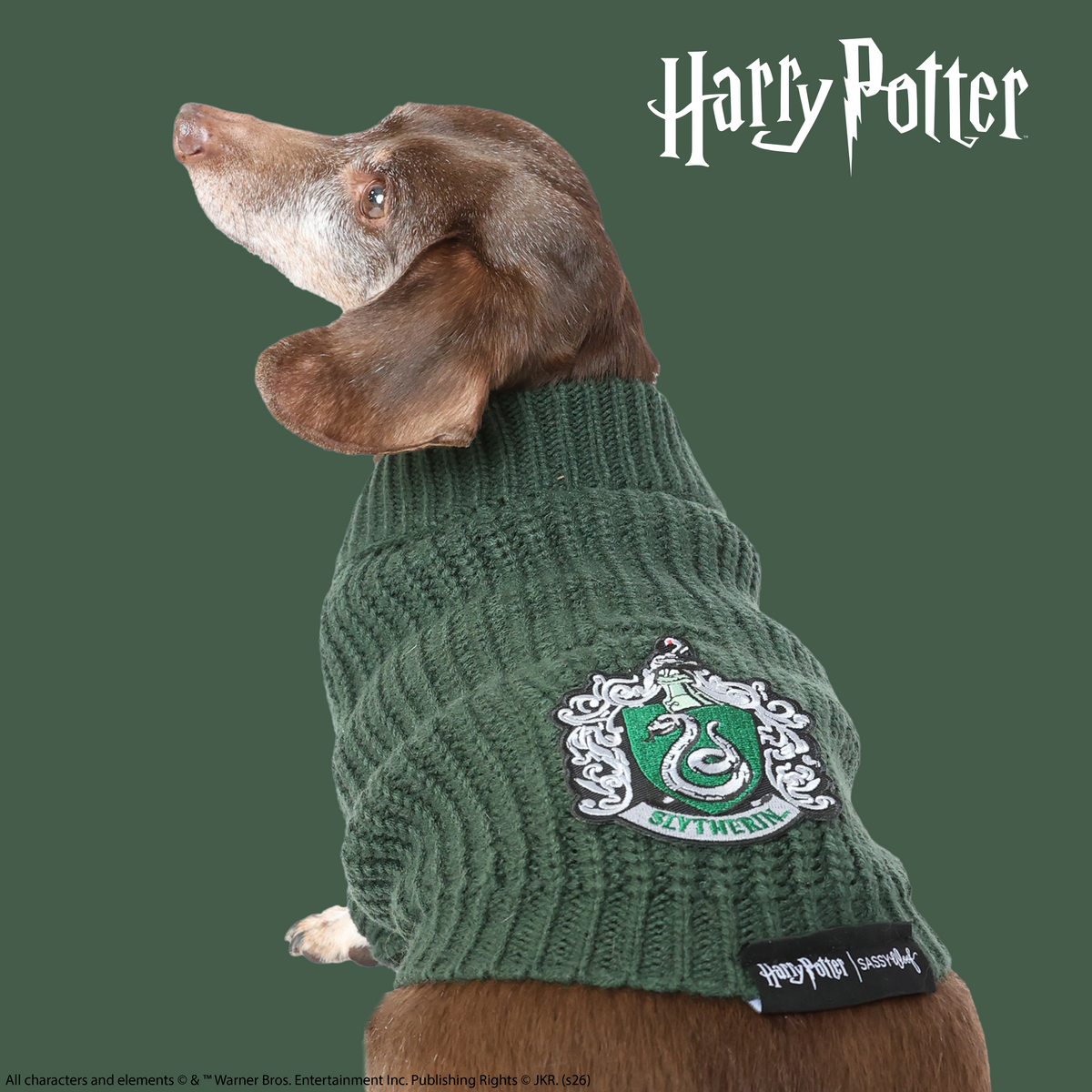 A brown dachshund models the Sassy Woof Pet Cable Knit Sweater - Harry Potter™ Slytherin, featuring a green cable knit design and iconic crest, against a plain green background.