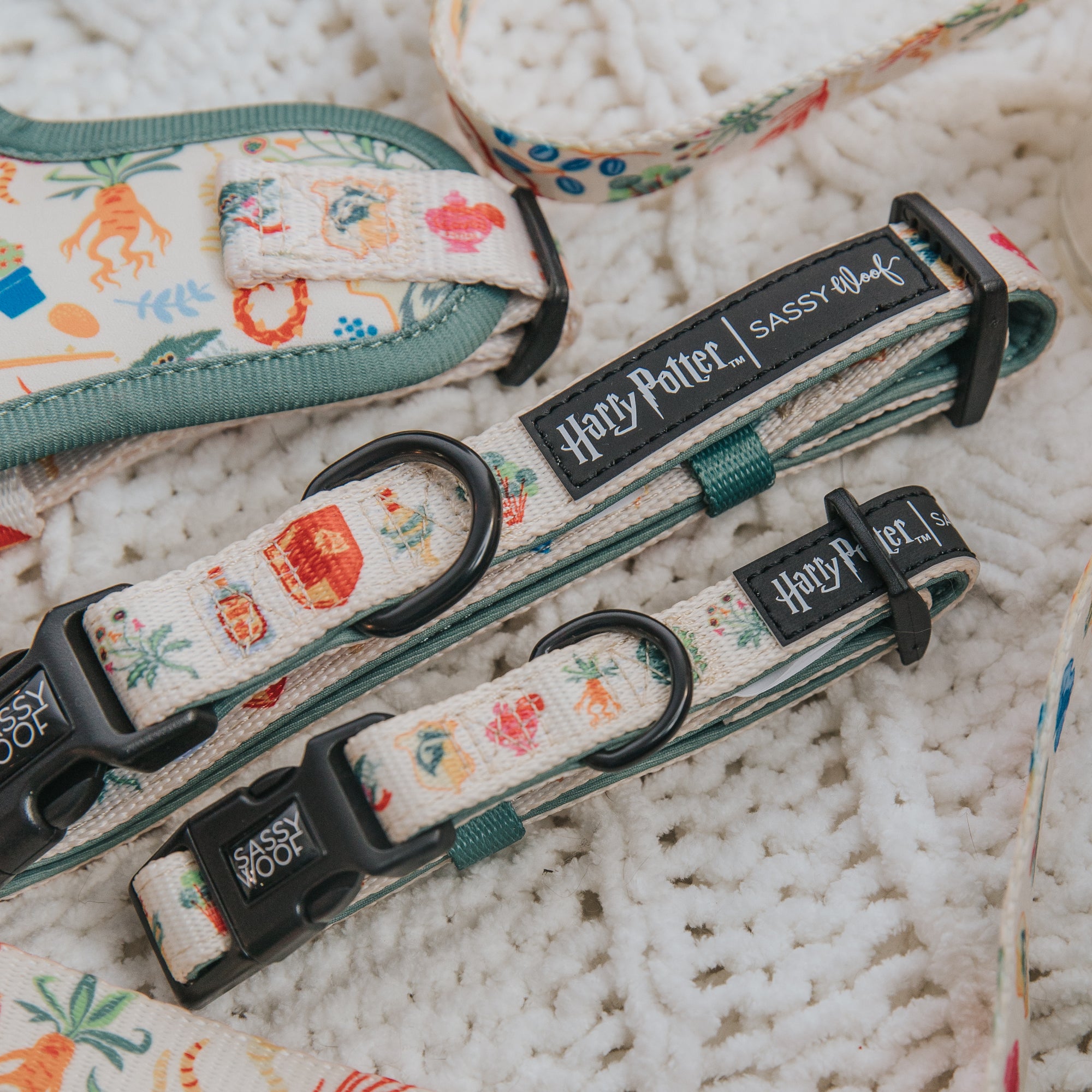 Dog collars with 'Harry Potter' and 'Sassy Woof' branding on a textured surface.