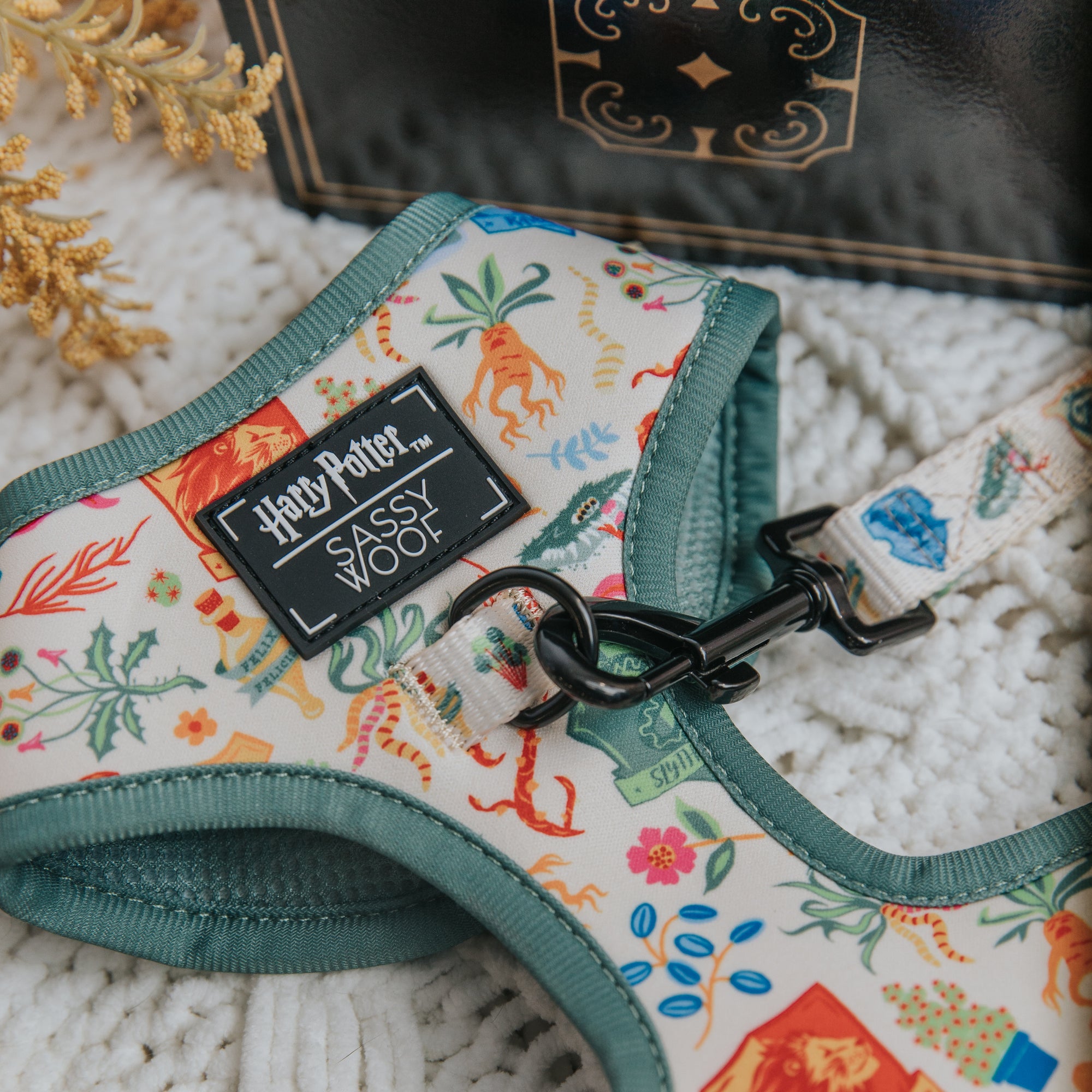 Dog harness with 'Harry Potter' and 'Sassy Woof' branding on a textured surface.