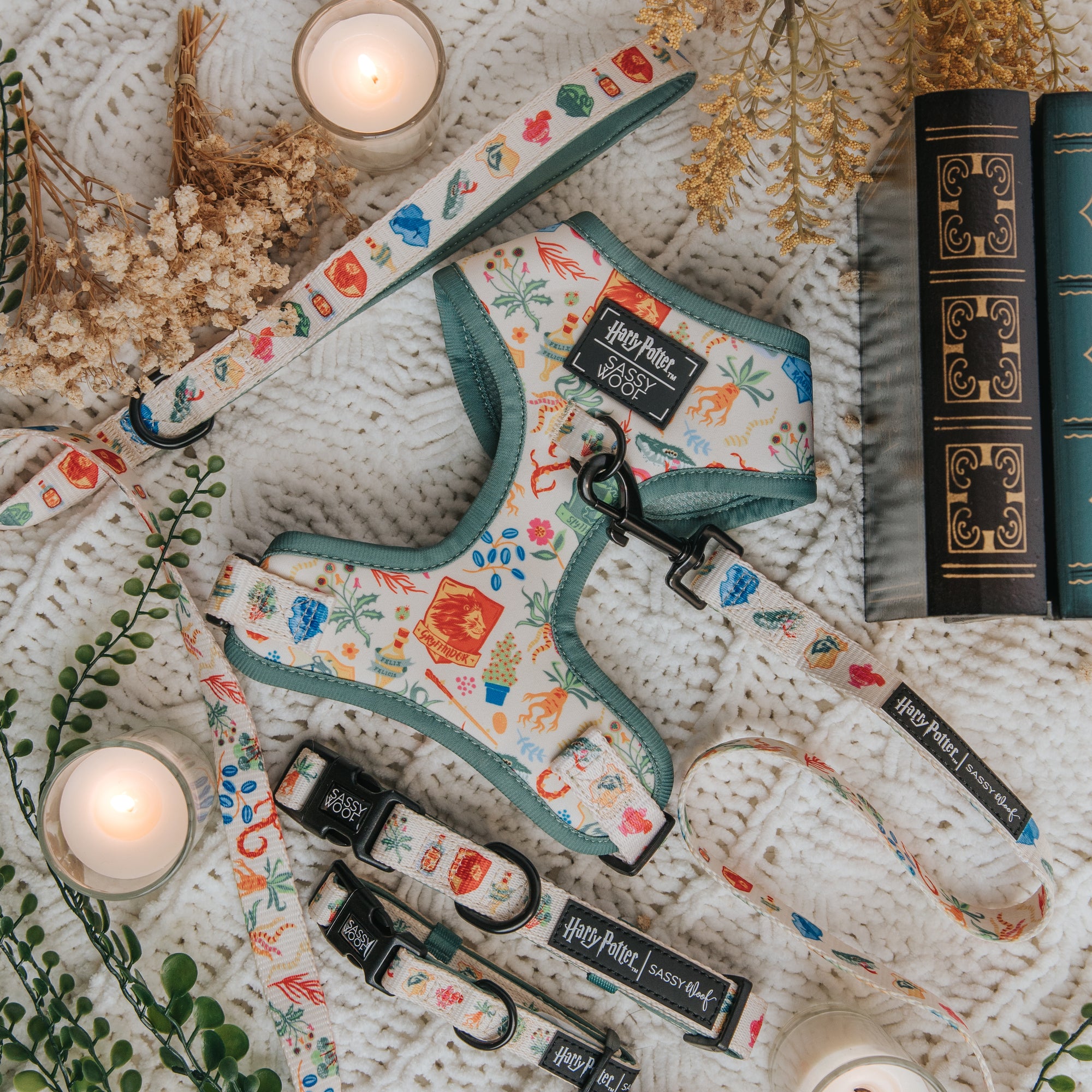 Floral-patterned dog harness and leashes with 'Harry Potter' branding on a textured surface.