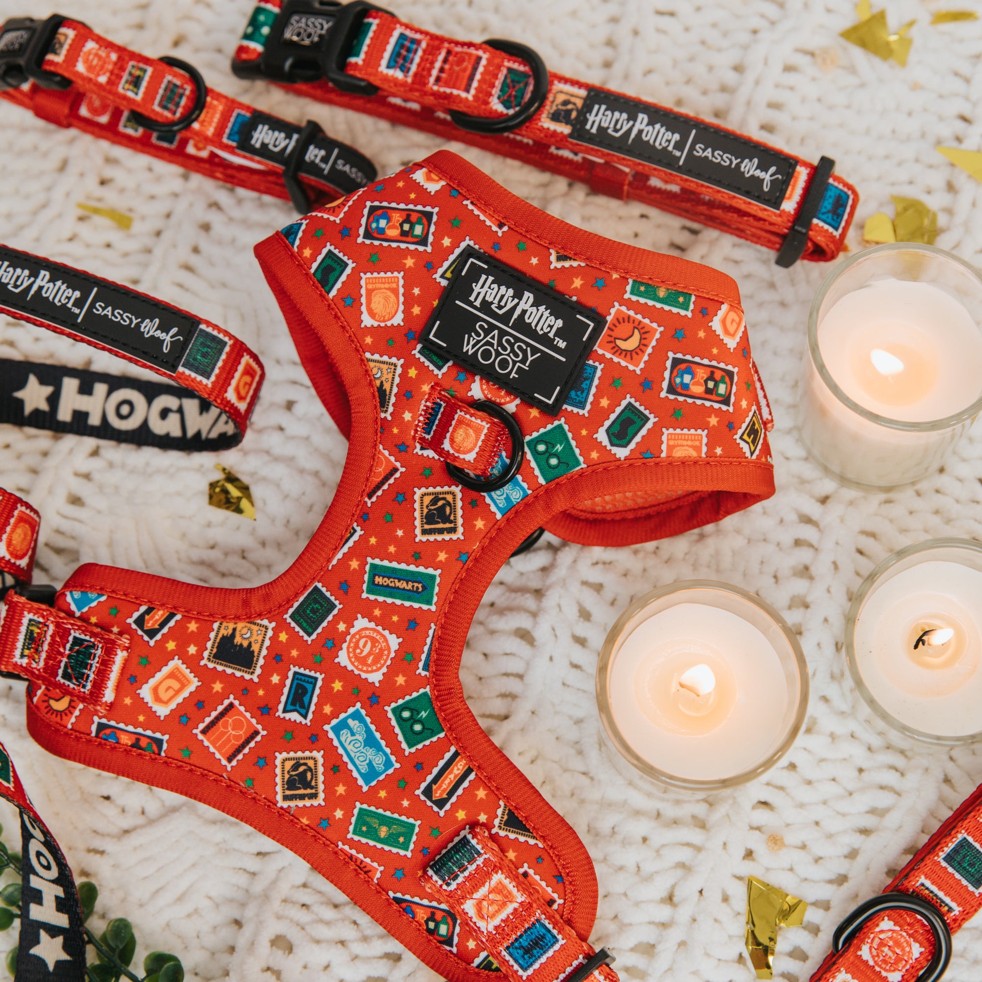 Red dog harness with 'Harry Potter' design on a textured surface with candles.