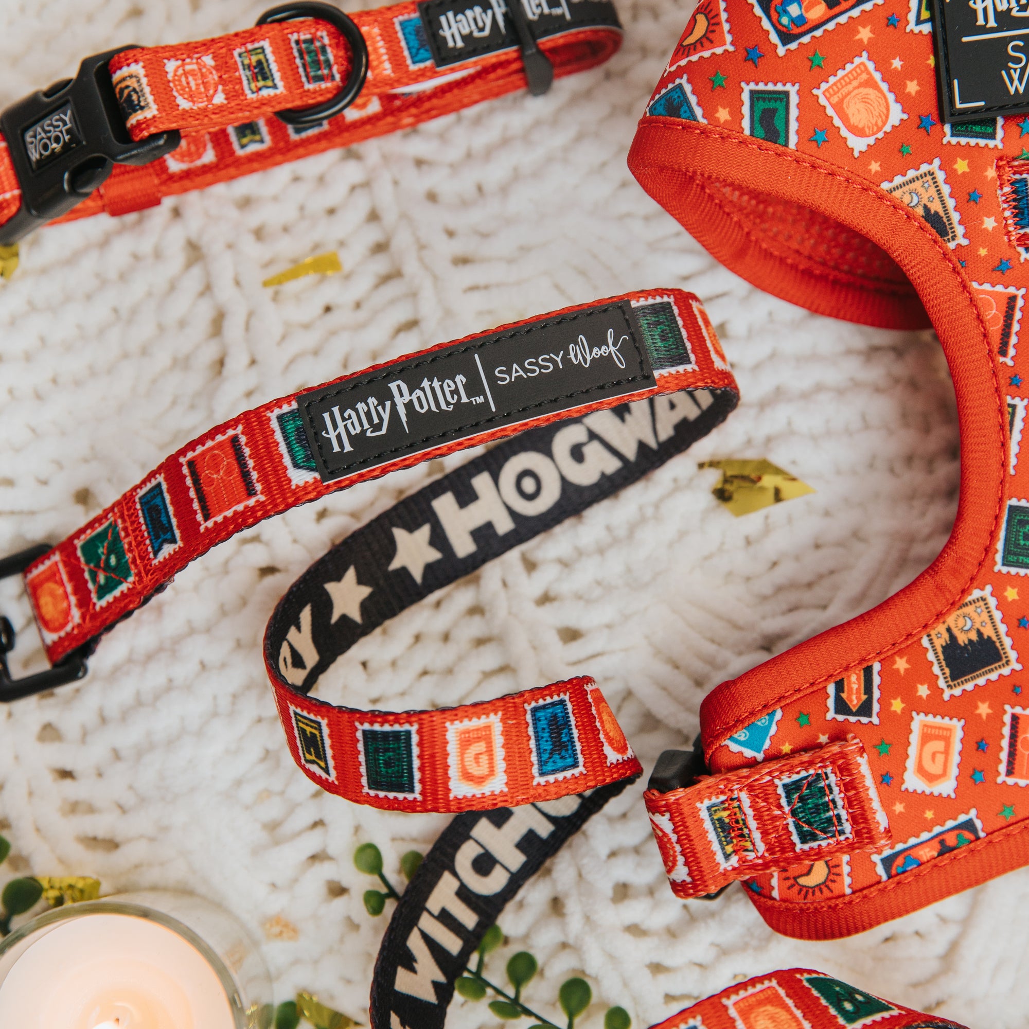 Dog collar and harness with 'Harry Potter' design on a textured surface
