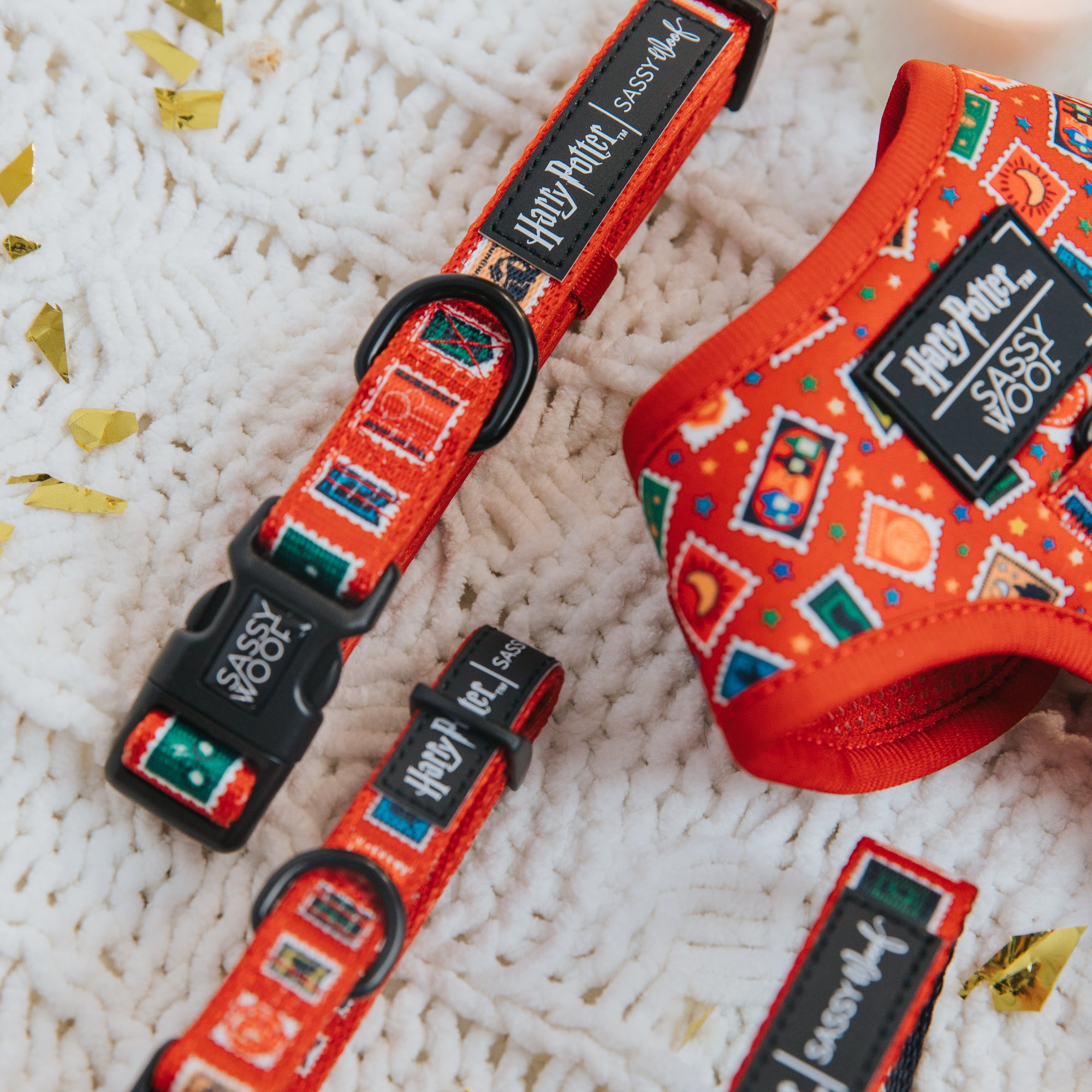 Dog collar and harness with colorful patterns on a textured surface