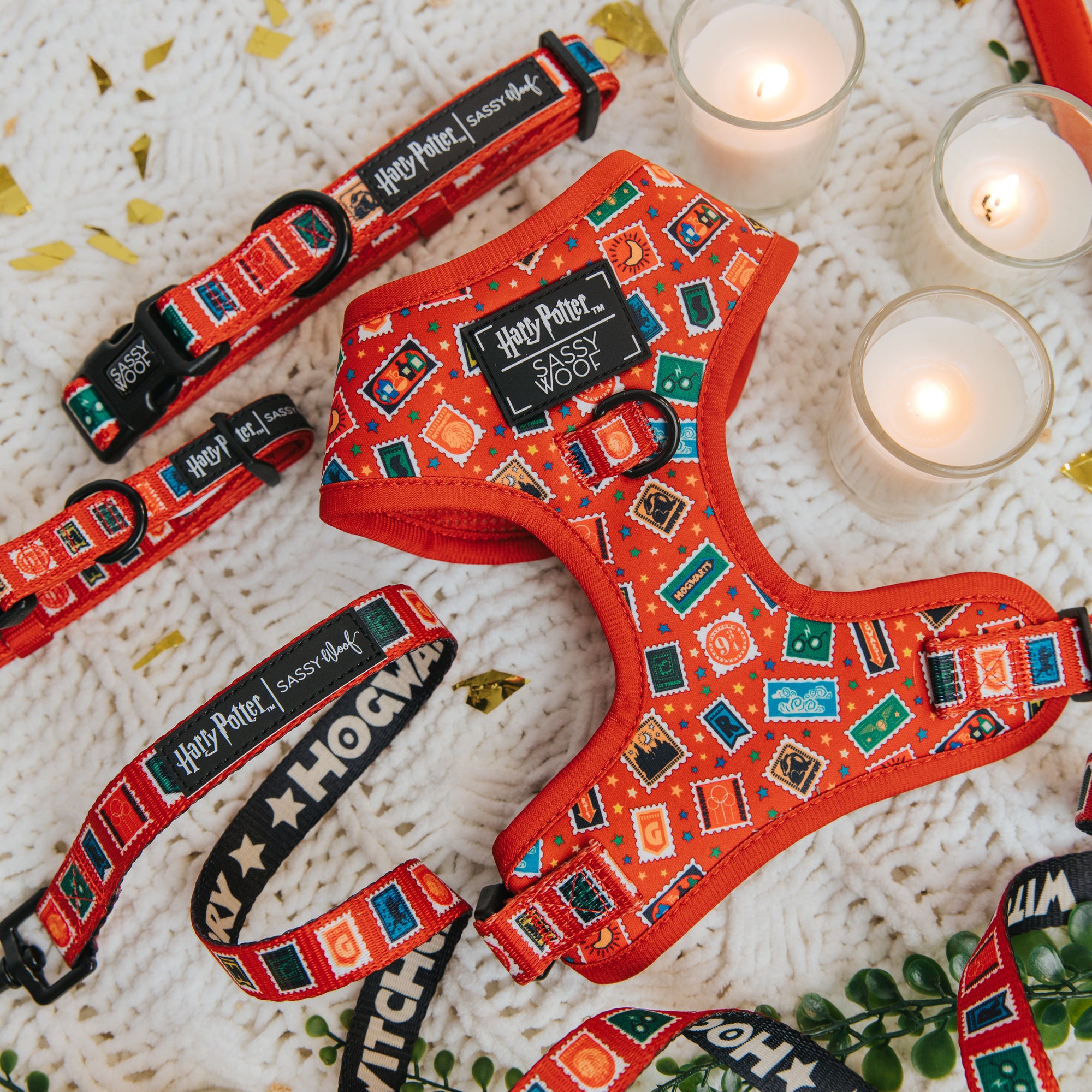 Dog collar and harness with Harry Potter design on a textured surface with candles.
